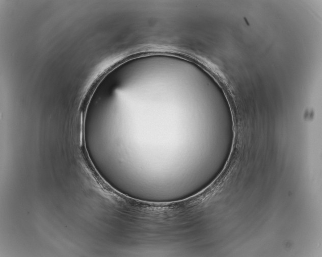 X0000089931223200707201833