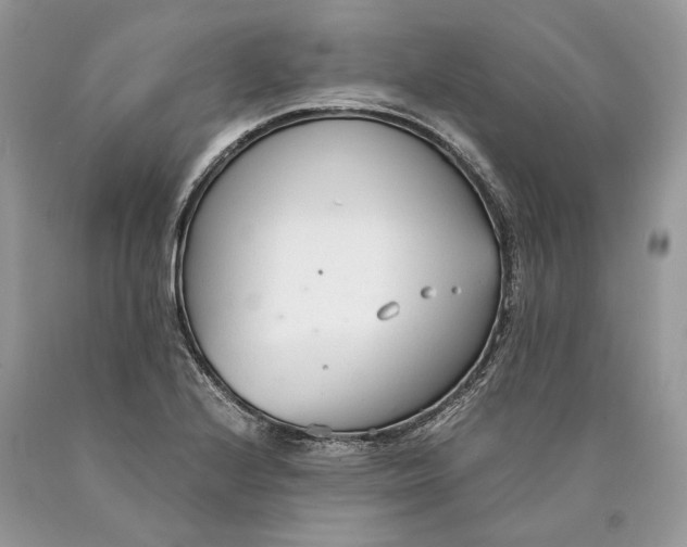 X0000089931224200707201833