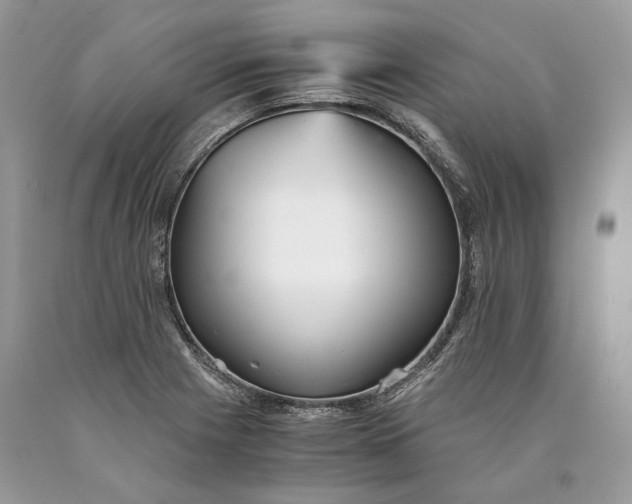 X0000089931225200707201833