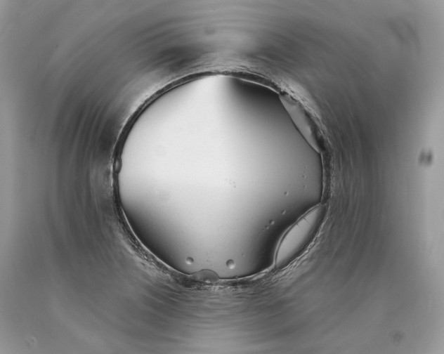 X0000089931226200707201833