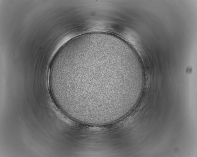 X0000089931227200707201833