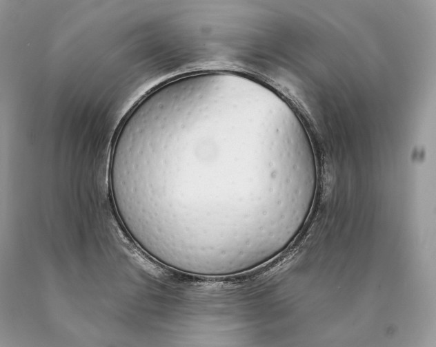 X0000089931228200707201833