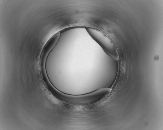 X0000089931230200707201833