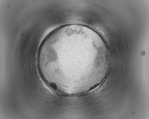 X0000089931231200707201833