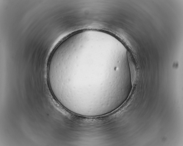 X0000089931232200707201833