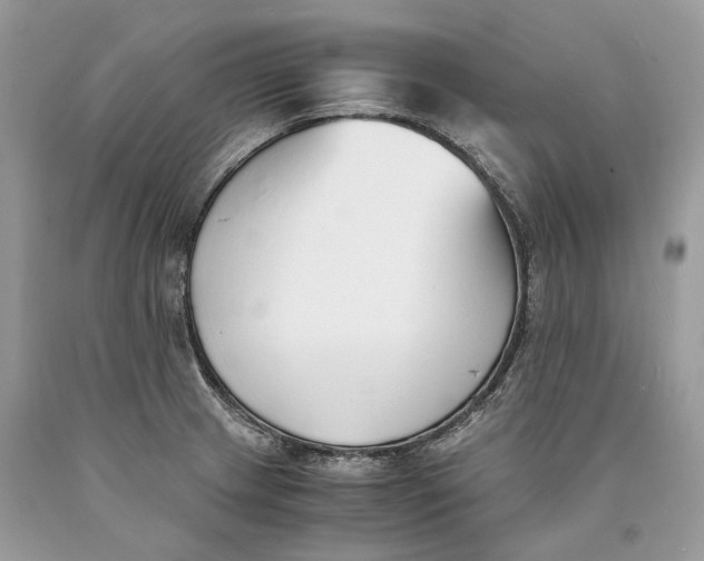 X0000089931233200707201833