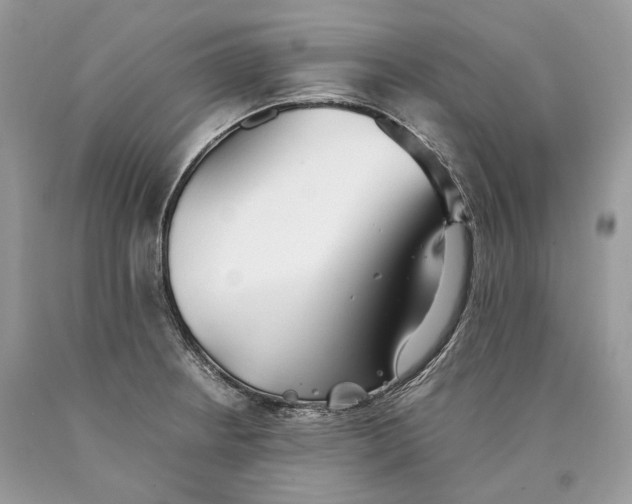 X0000089931234200707201833