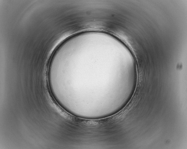 X0000089931235200707201833