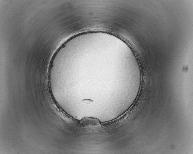 X0000089931236200707201833