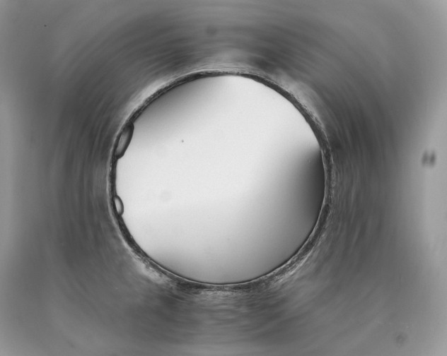 X0000089931237200707201833