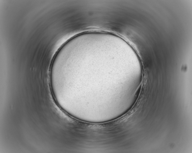 X0000089931239200707201833