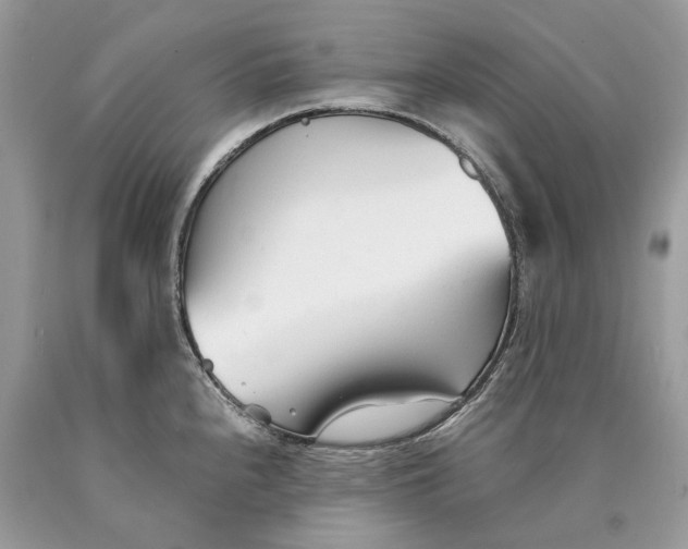 X0000089931240200707201833