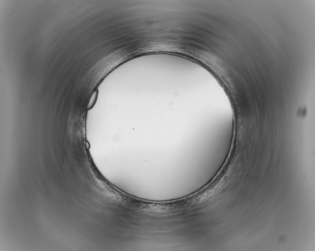 X0000089931241200707201833