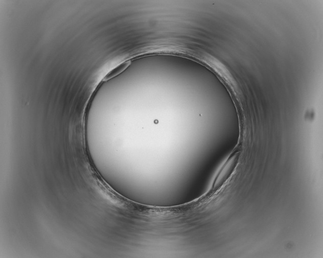 X0000089931242200707201833