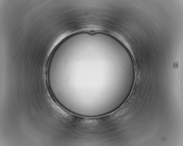 X0000089931243200707201833