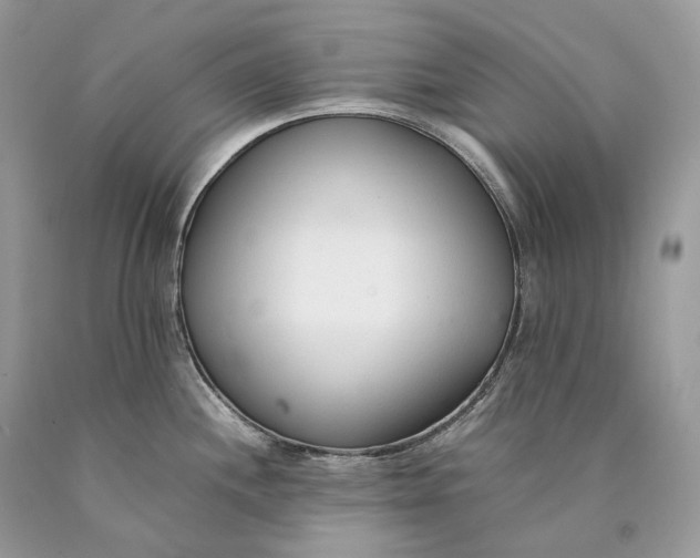 X0000089931244200707201833