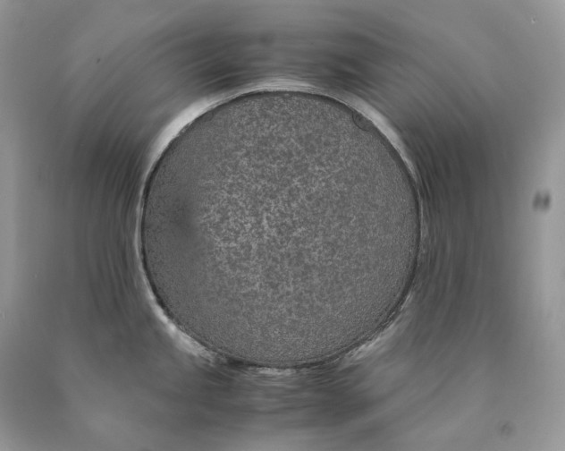 X0000089931245200707201833