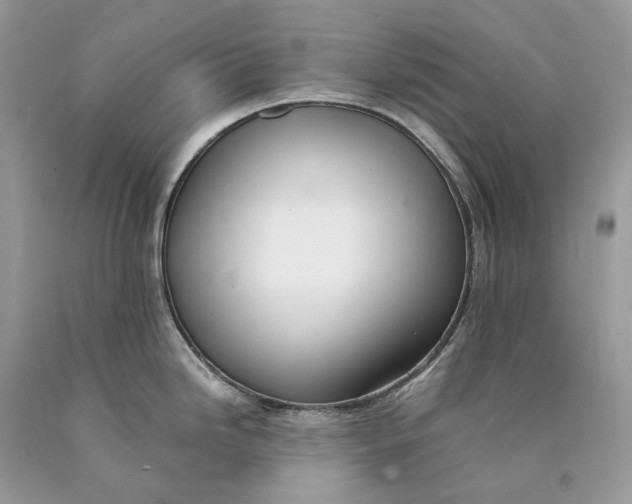 X0000089931246200707201833