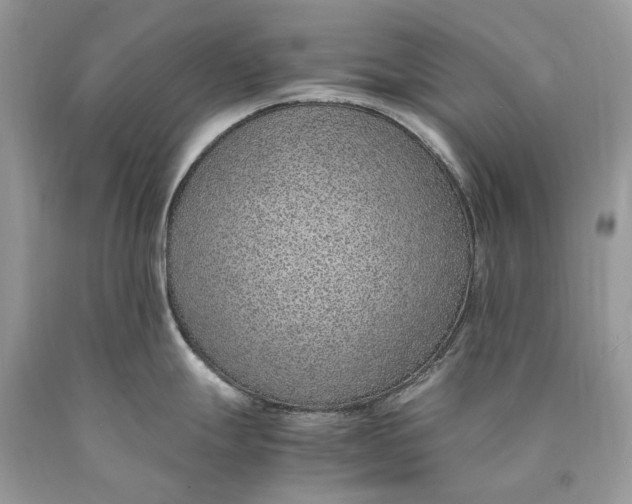 X0000089931247200707201833