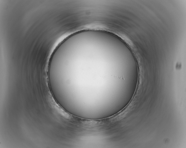 X0000089931248200707201833