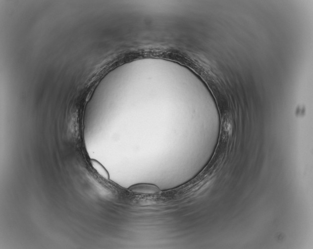 X0000089931252200707201832