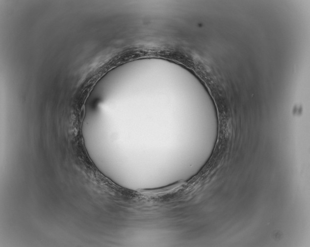 X0000089931253200707201832