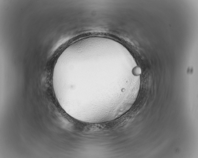 X0000089931255200707201832