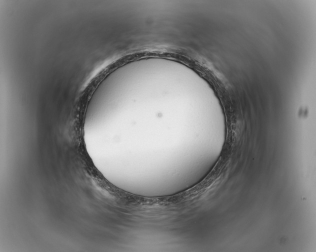 X0000089931256200707201832