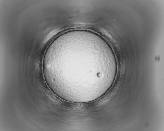 X0000089931259200707201832