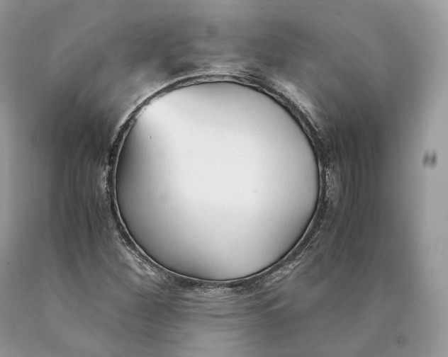 X0000089931260200707201832