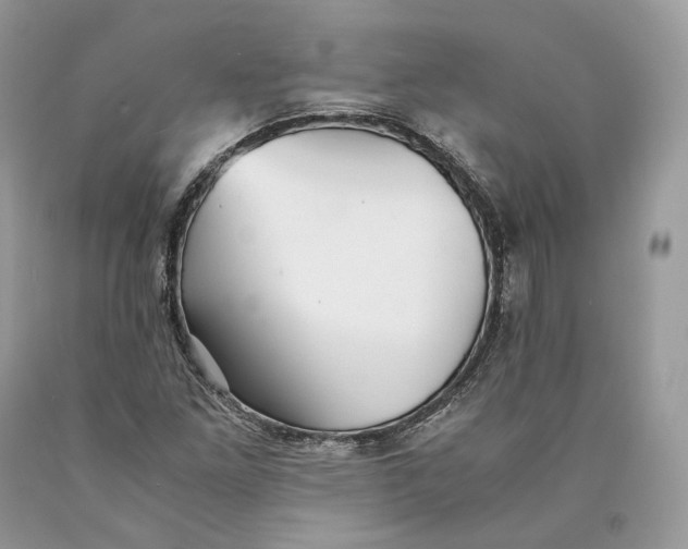 X0000089931261200707201832