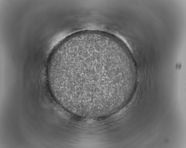 X0000089931263200707201832