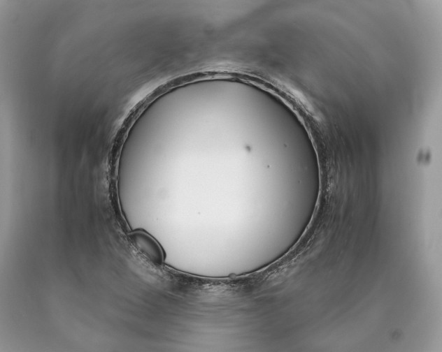 X0000089931264200707201832