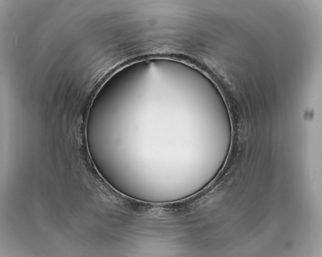 X0000089931265200707201832