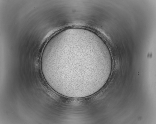 X0000089931266200707201832