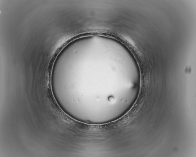 X0000089931267200707201832