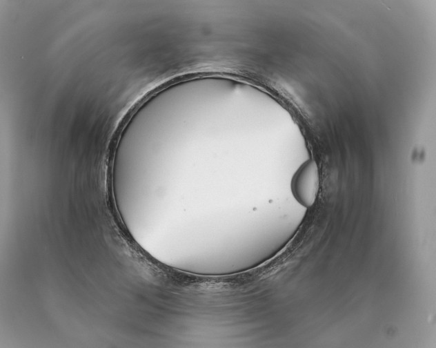 X0000089931268200707201832