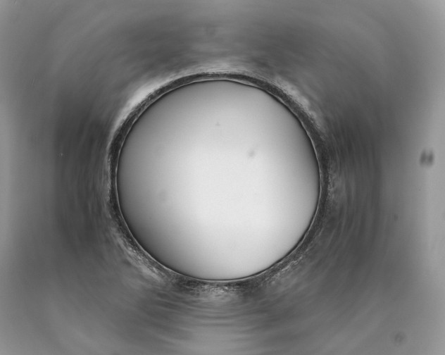 X0000089931270200707201832