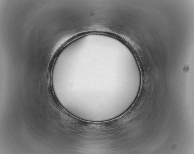 X0000089931271200707201832