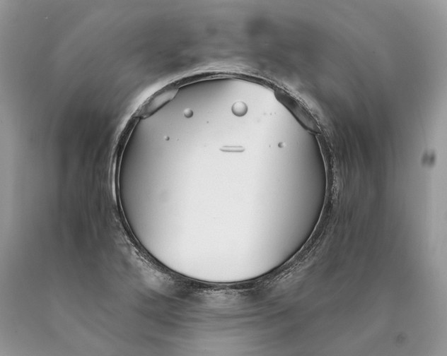 X0000089931272200707201832