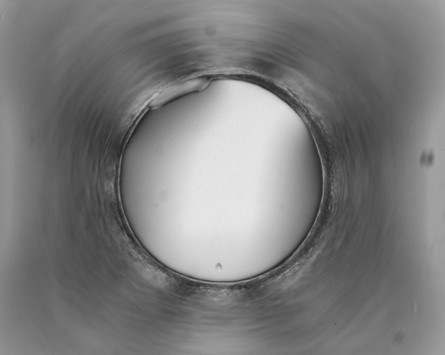 X0000089931273200707201832