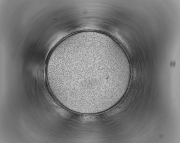 X0000089931274200707201832