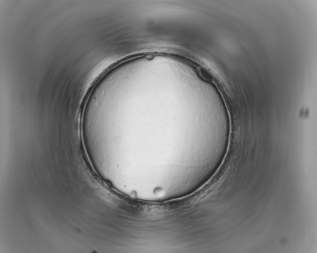 X0000089931275200707201832