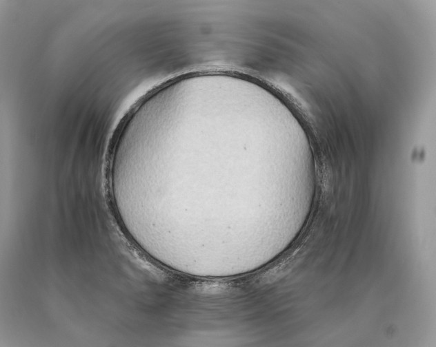 X0000089931278200707201832