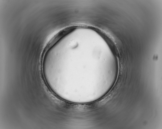 X0000089931279200707201832