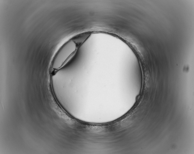 X0000089931280200707201832