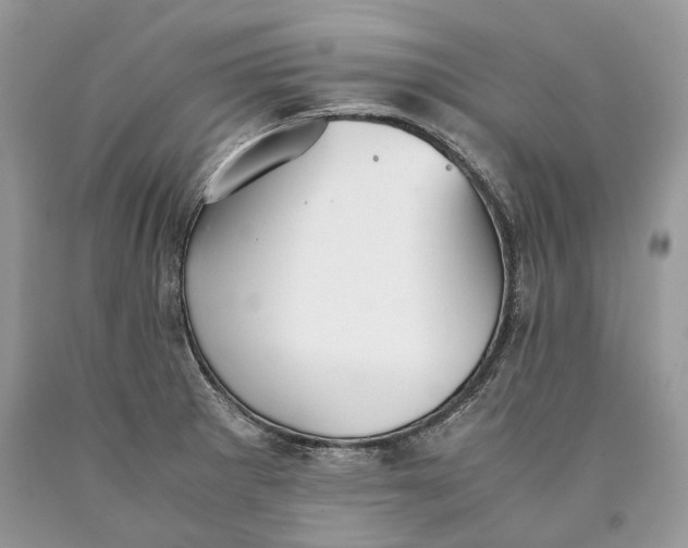 X0000089931281200707201832