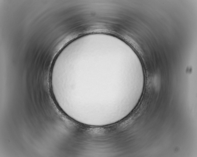 X0000089931282200707201832