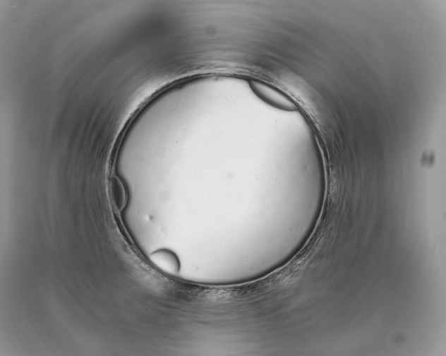 X0000089931283200707201832