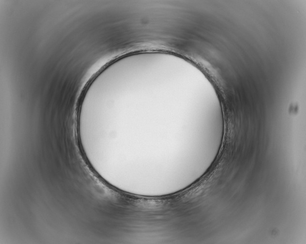 X0000089931286200707201832